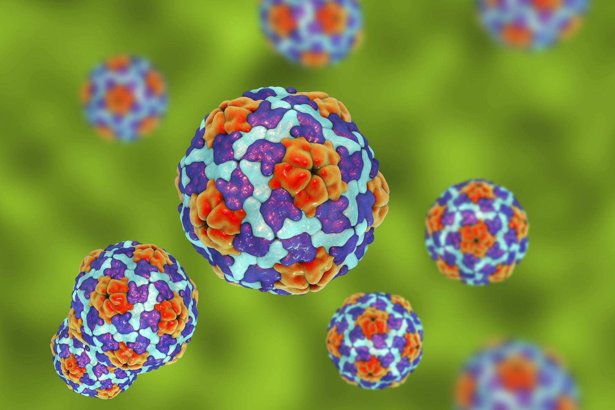 Hepatitis A Outbreak Could I Be At Risk